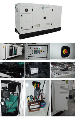 Delixiサーキットブレーカーとフルロードで8時間稼働する6.25 KVAサイレント発電機セット、静音電源